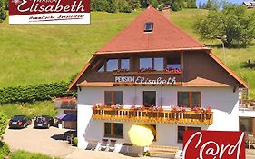Pension Elisabeth Todtnauberg